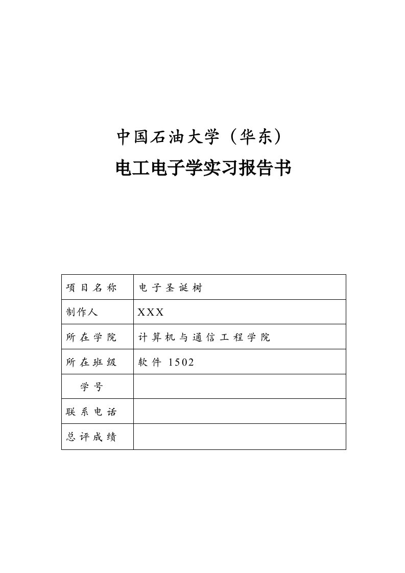 实践项目报告模板