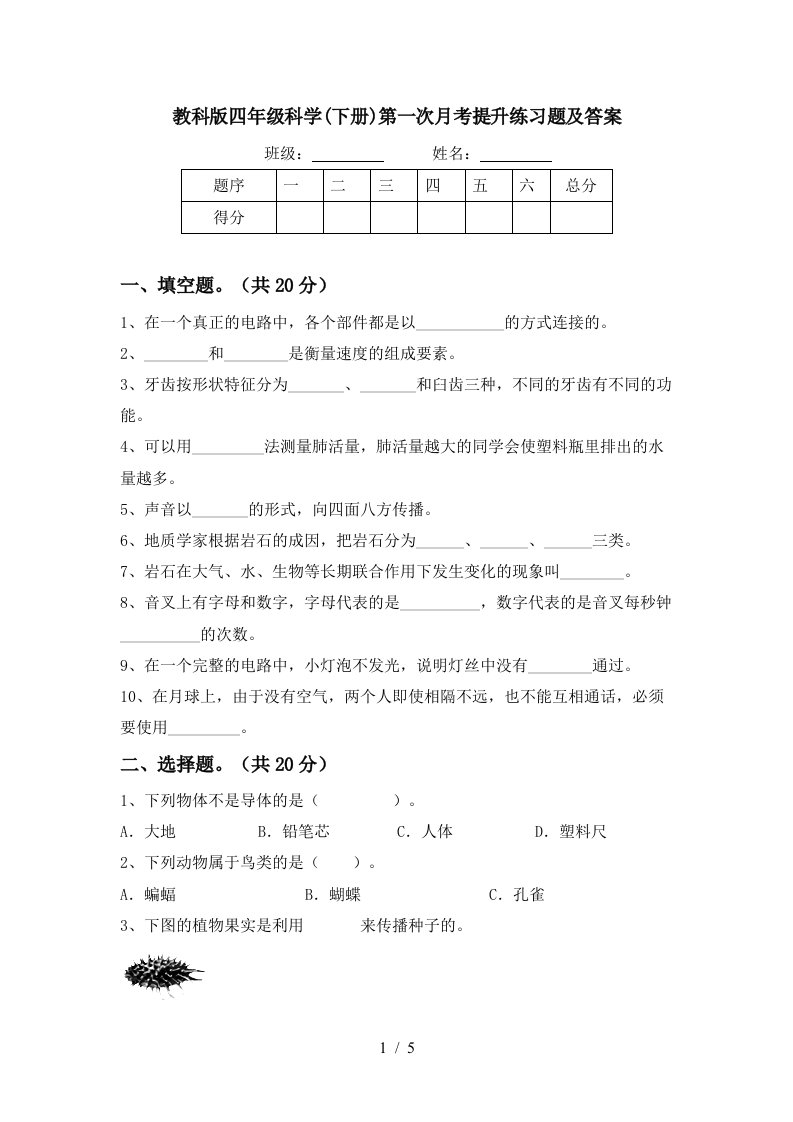 教科版四年级科学下册第一次月考提升练习题及答案