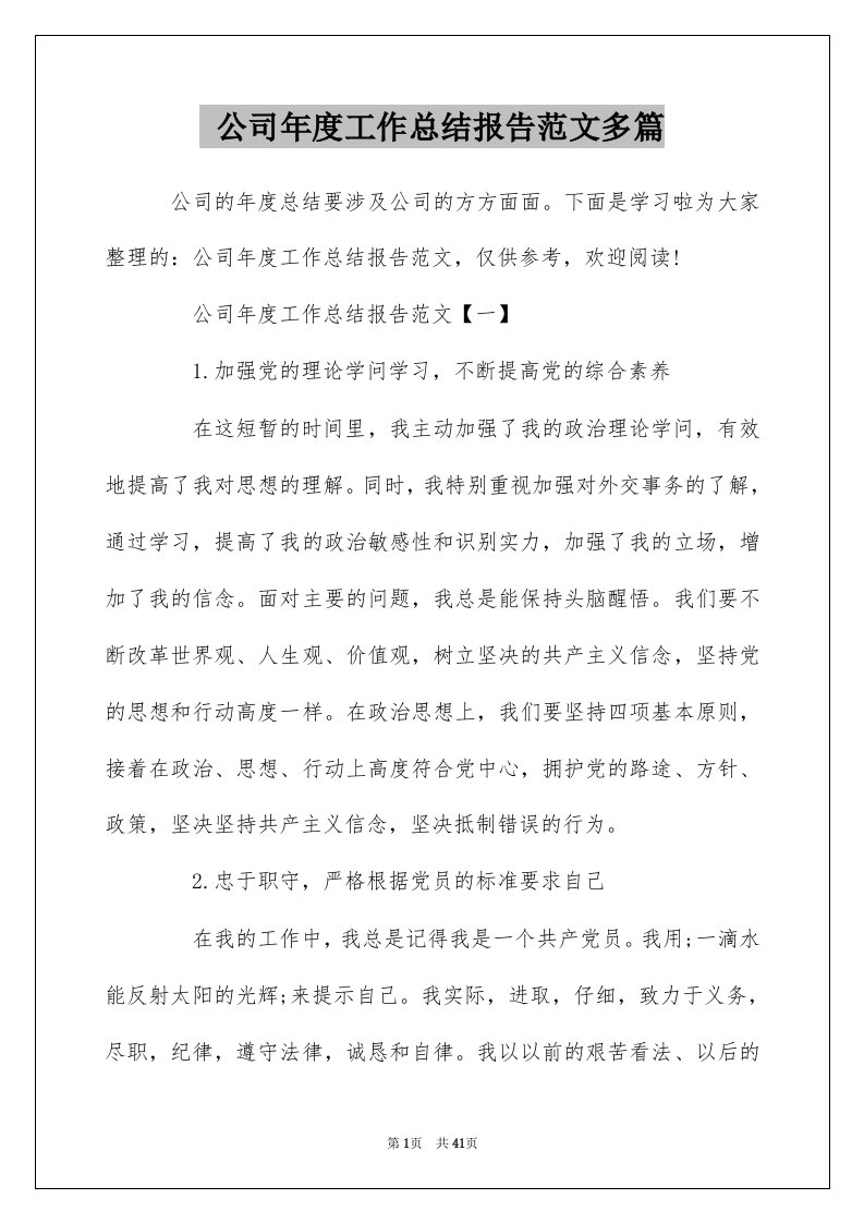 公司年度工作总结报告范文多篇