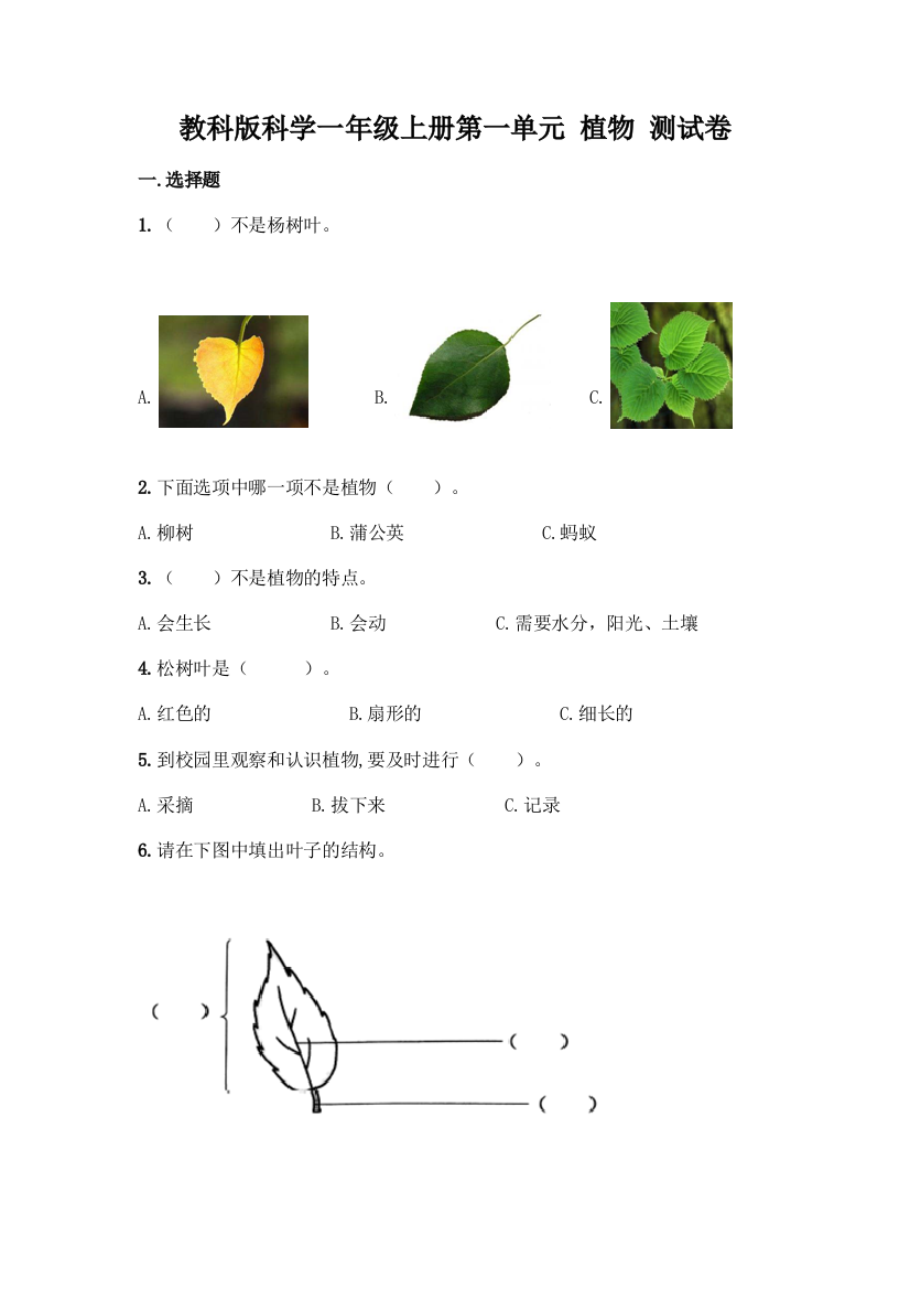 教科版科学一年级上册第一单元-植物-测试卷及参考答案【研优卷】