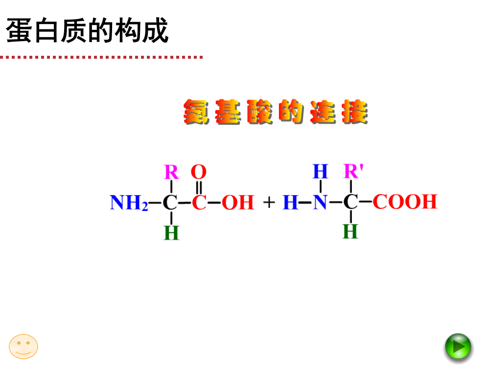 有一定的氨基酸序列空间结构蛋白质分子连接