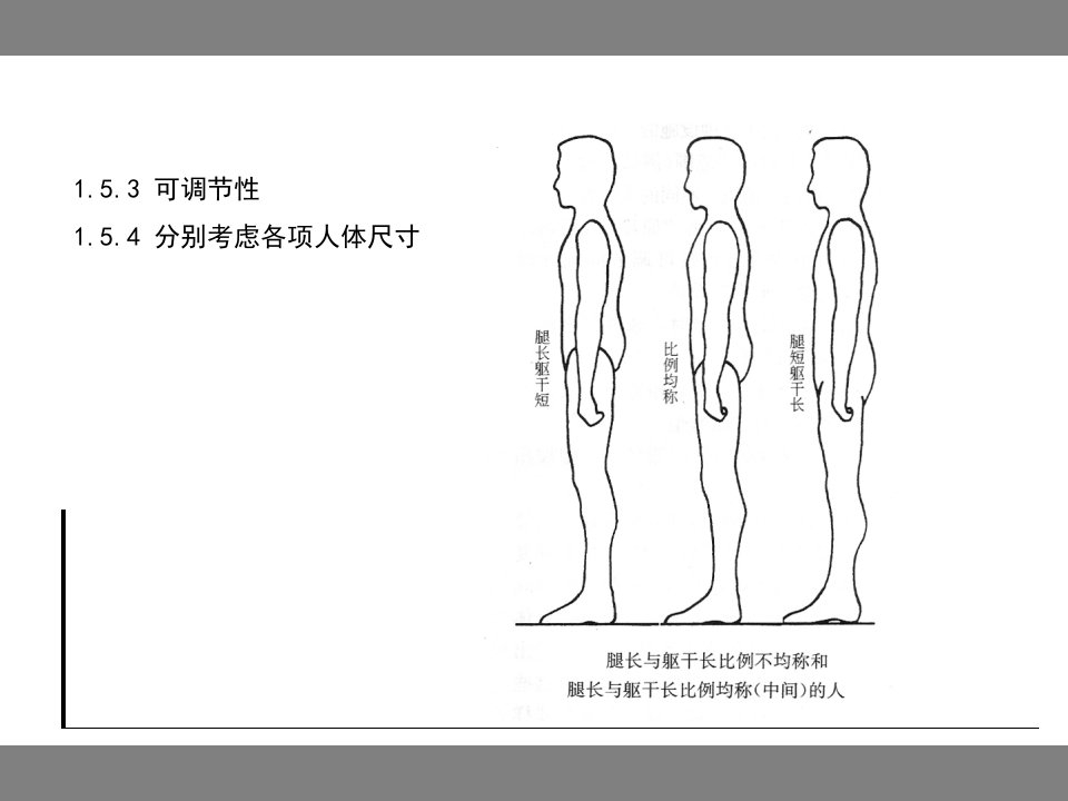 01人体测量学与人体尺寸