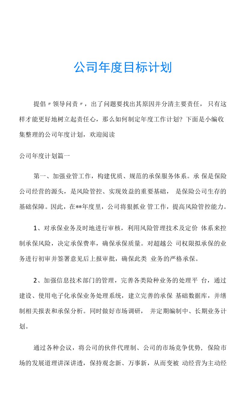 公司年度目标计划