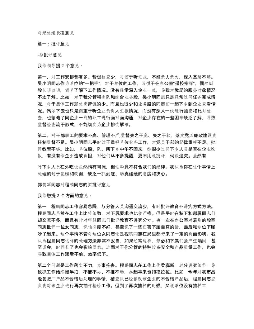 对纪检组长提意见