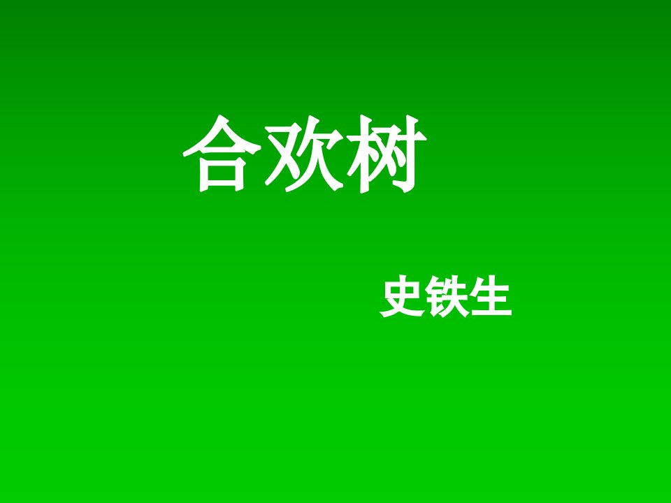 《合欢树》课件