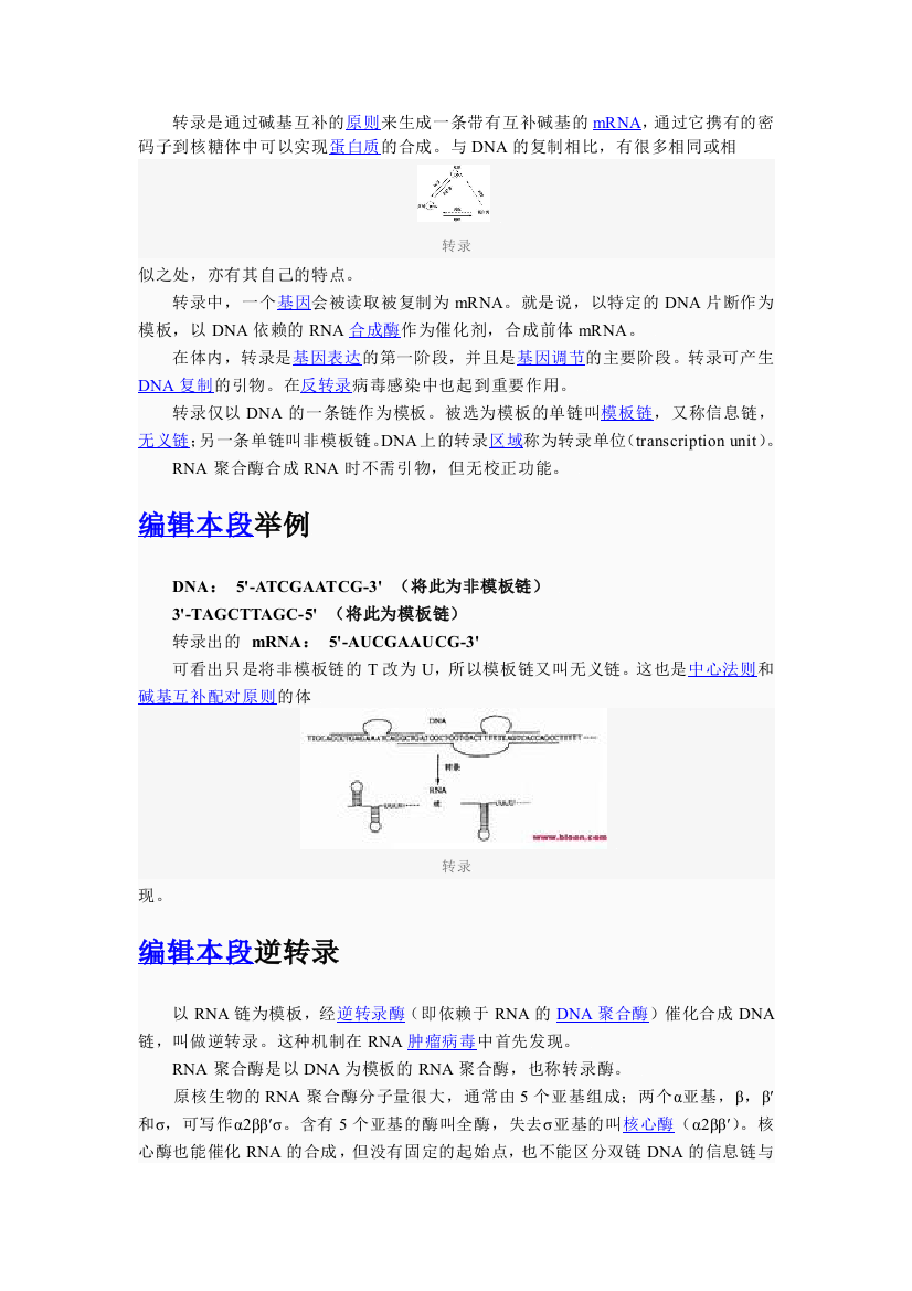 生物化学86878