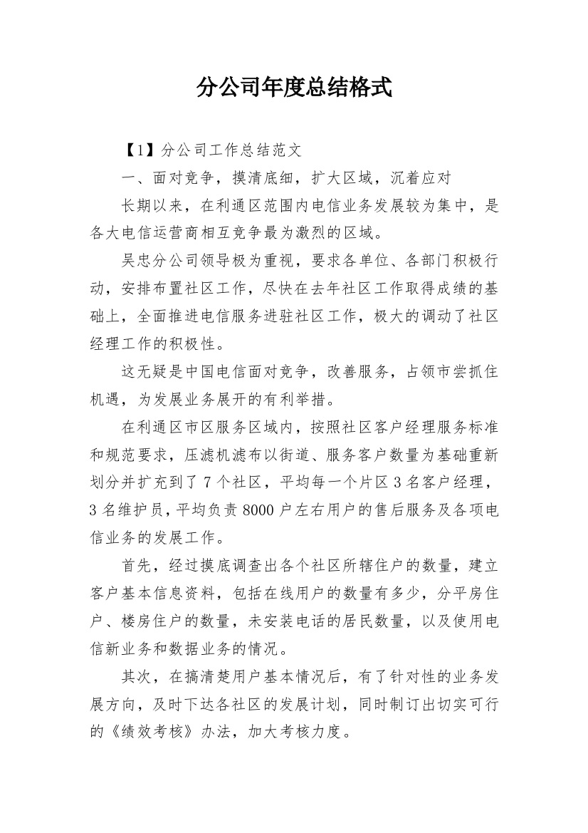 分公司年度总结格式