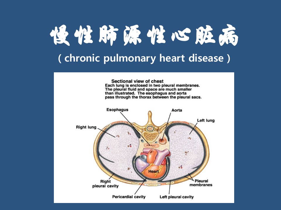 慢性肺源性心脏病护理PPT课件