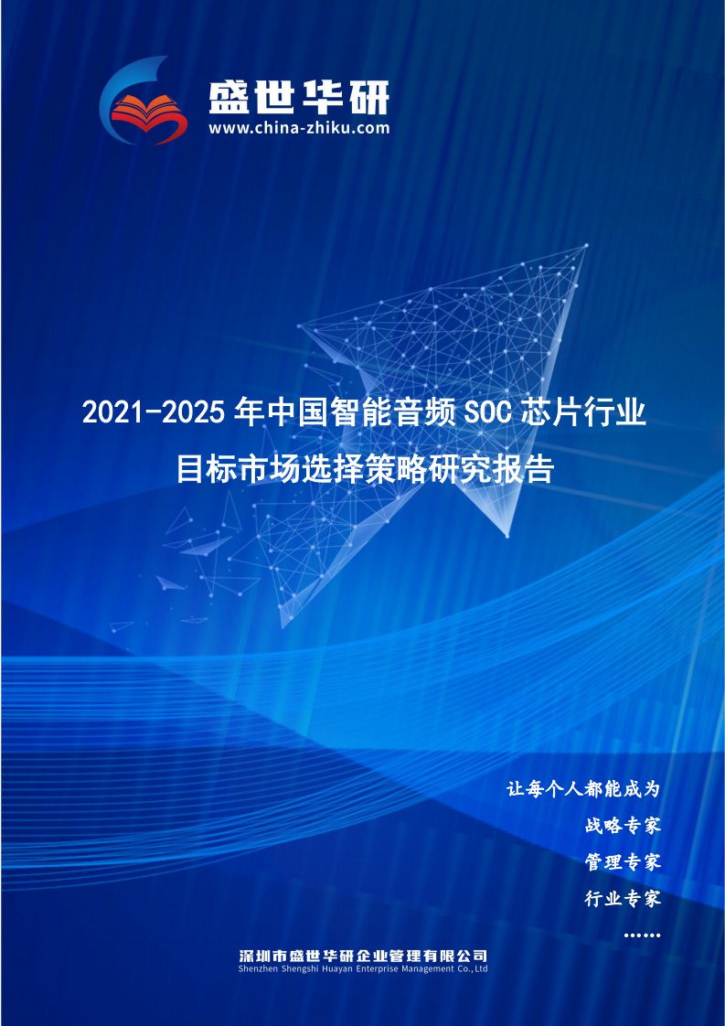 2021-2025年中国智能音频SoC芯片行业目标市场选择策略研究报告