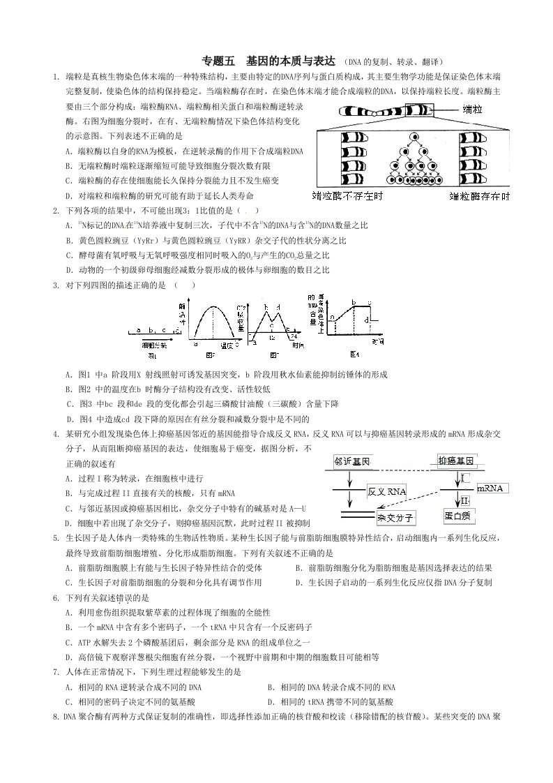 高三生物二轮复习基因的本质与表达