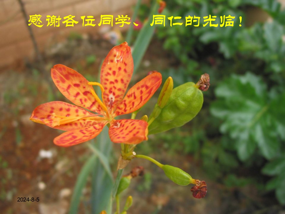 民族植物学——打开植物资源宝库的金钥匙