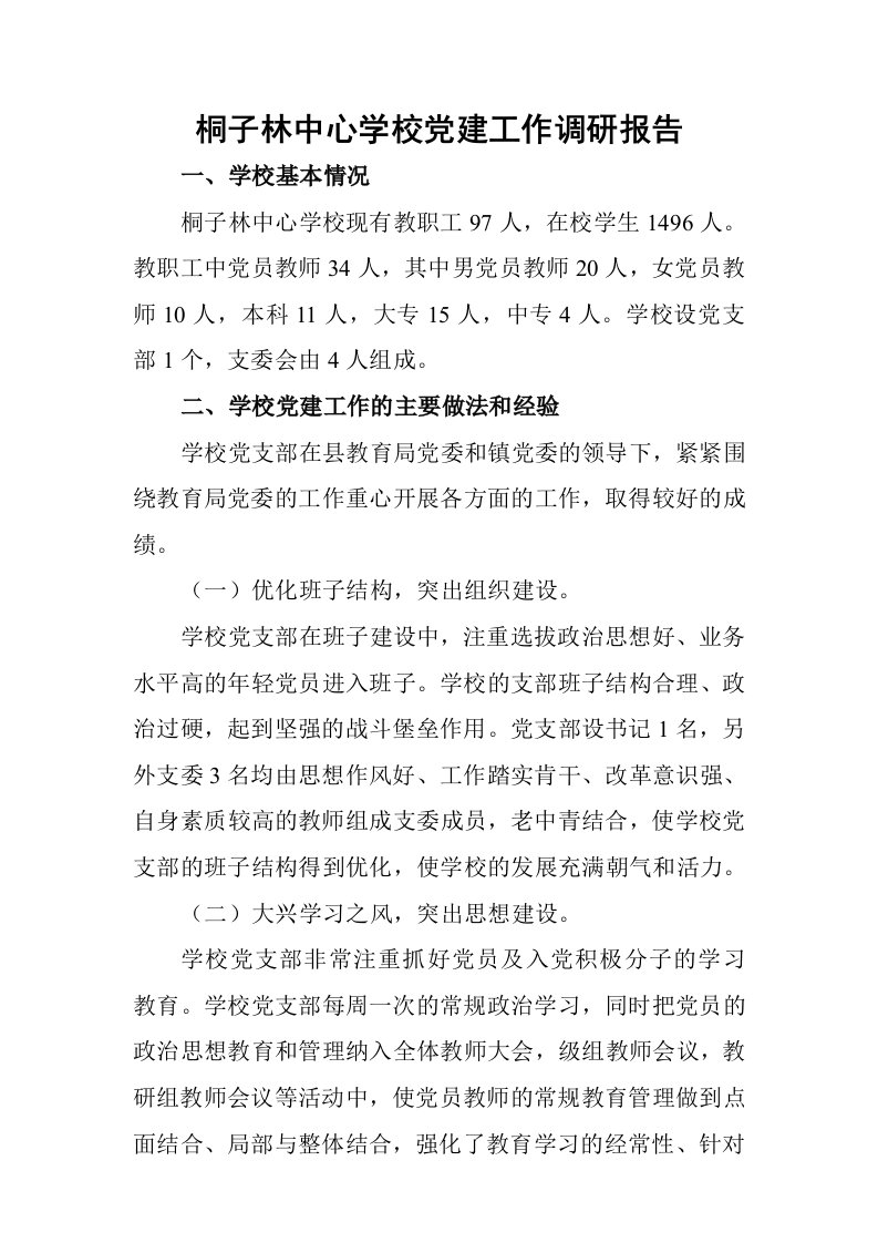 桐子林中心学校党建工作调研报告