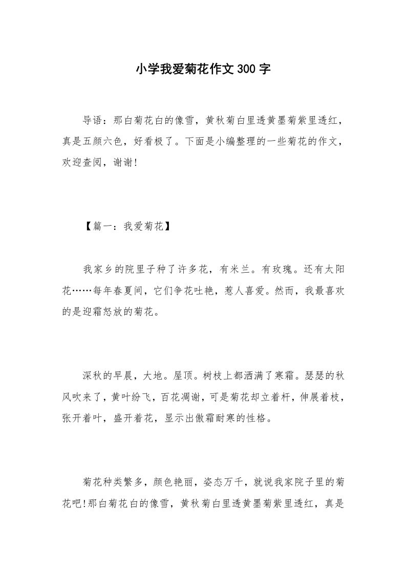 小学我爱菊花作文300字