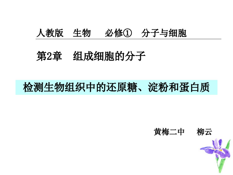 检测生物组织中的还原糖、淀粉和蛋白质