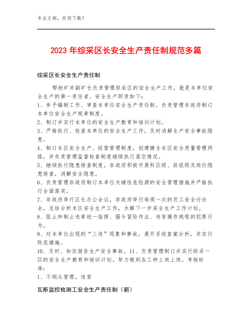 2023年综采区长安全生产责任制规范多篇