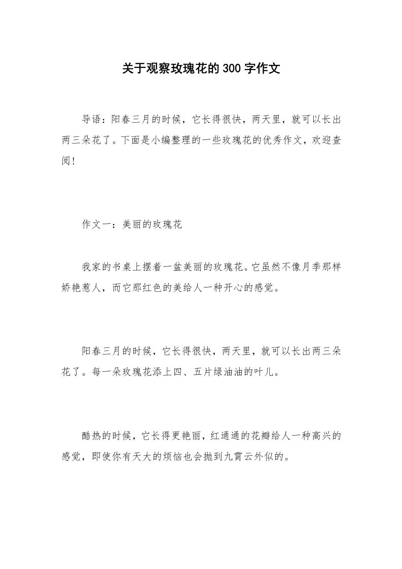 关于观察玫瑰花的300字作文