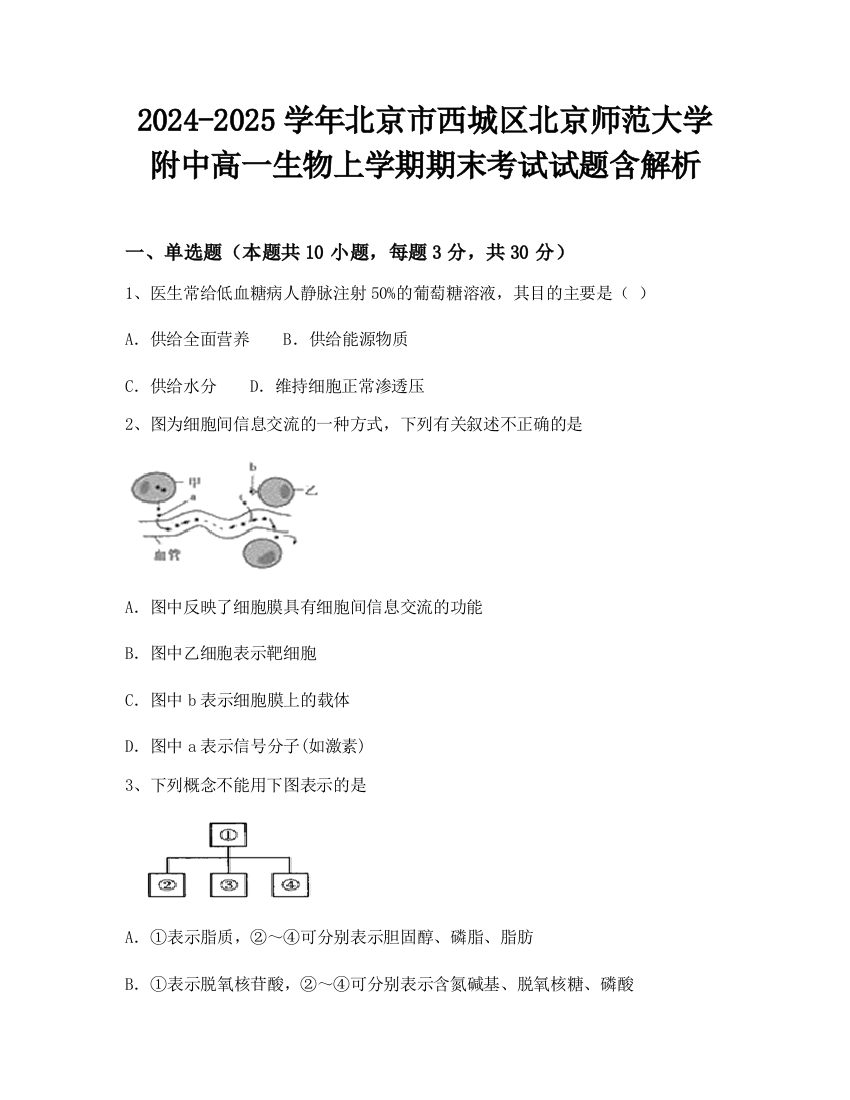 2024-2025学年北京市西城区北京师范大学附中高一生物上学期期末考试试题含解析