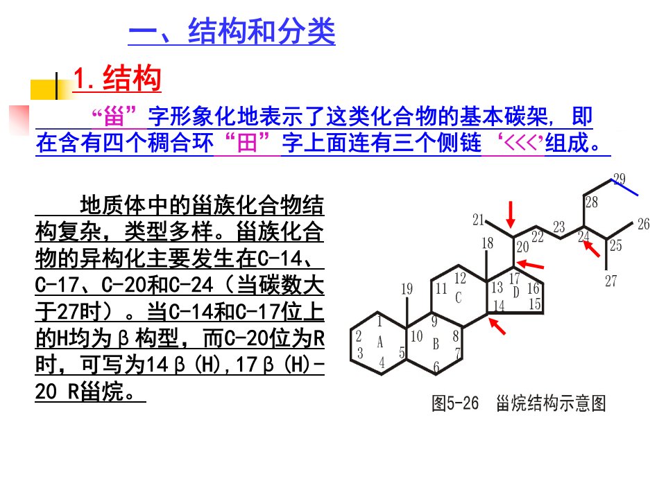 地球化学第四章生物标志物3