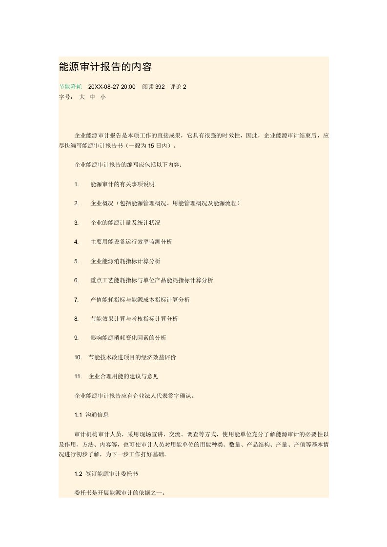 能源化工-能源审计报告的内容
