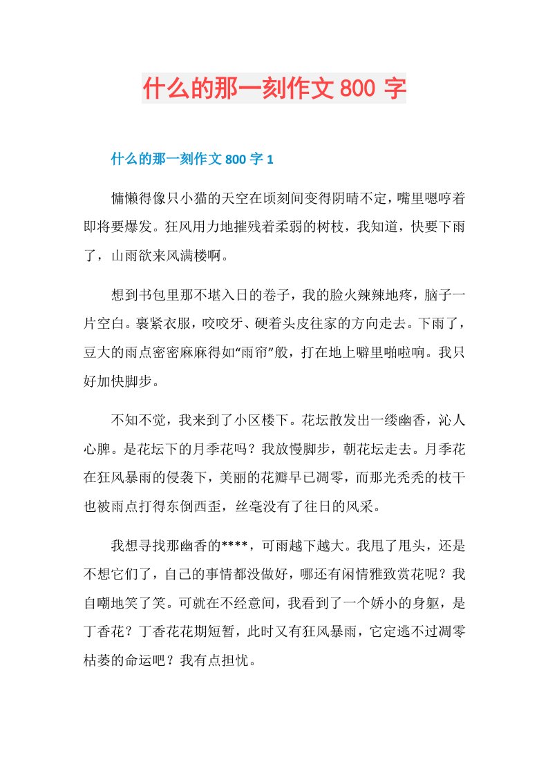 什么的那一刻作文800字