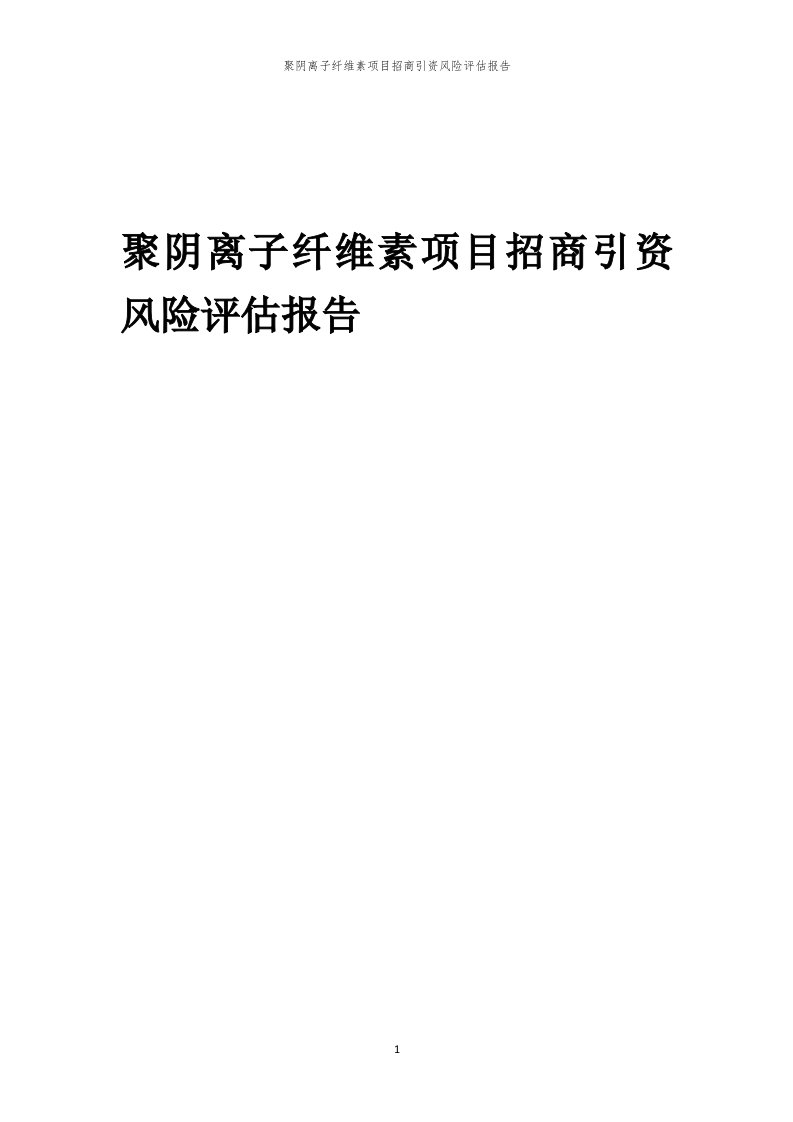 2023年聚阴离子纤维素项目招商引资风险评估报告