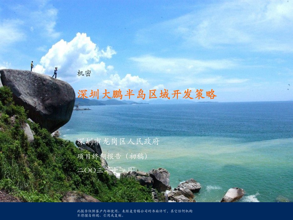 战略管理-麦肯锡深圳大鹏半岛区域开发策略