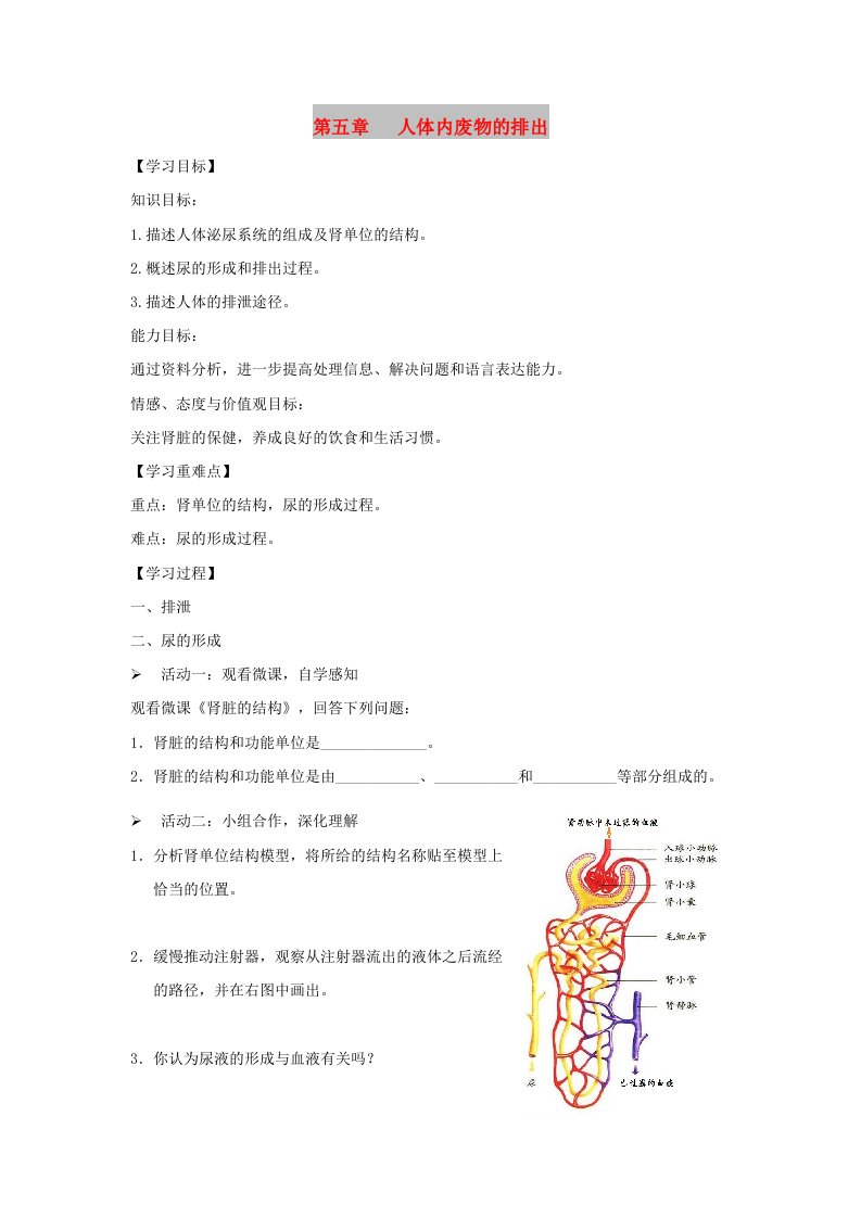 七年级生物下册4.5人体内废物的排出导学案无答案