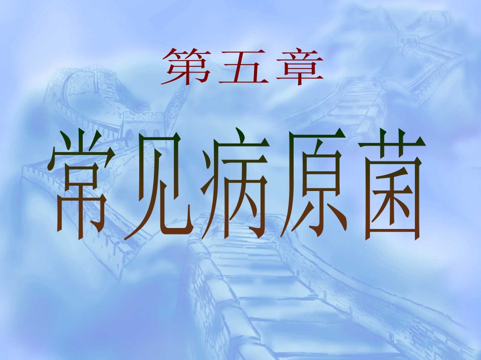 病原生物与免疫学基础第五章常见病原菌第四节厌氧性课件