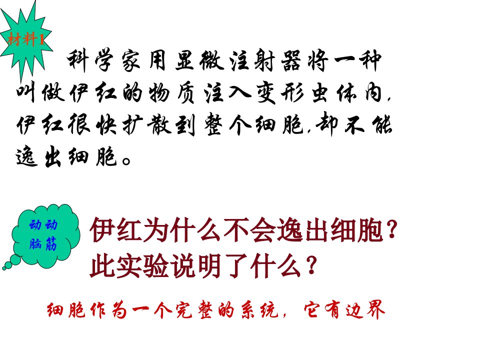 第一节细胞膜系统的边界ppt课件