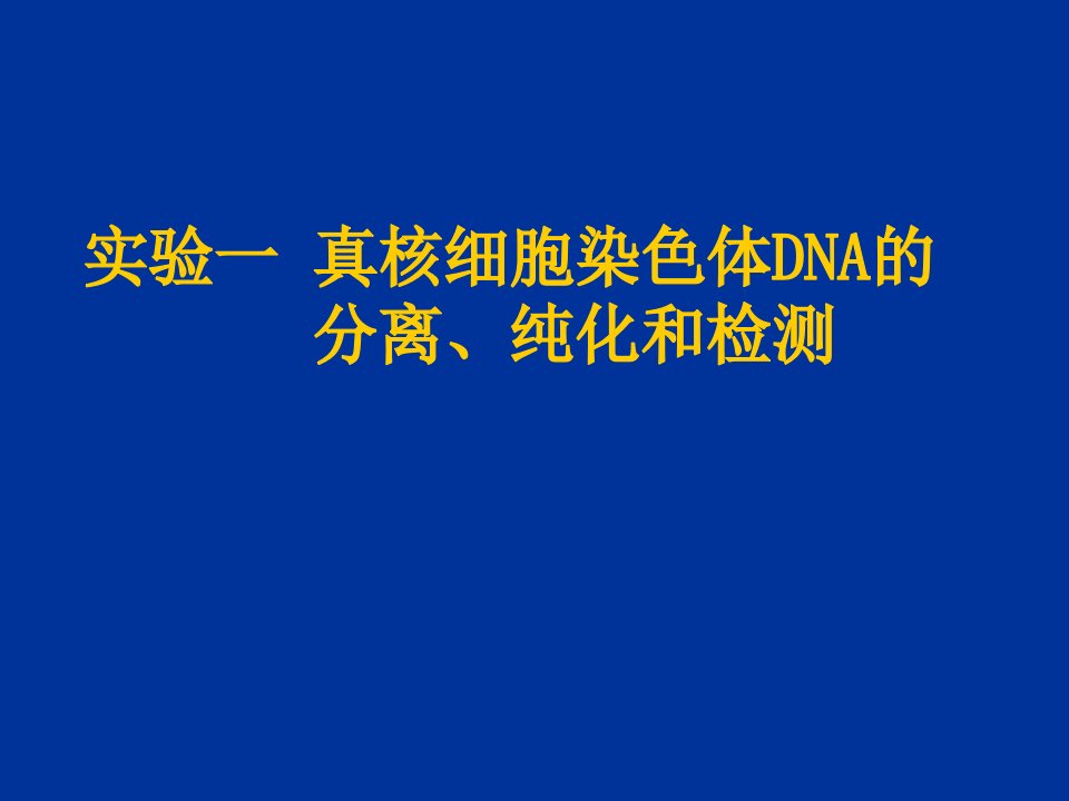 实验1DNA提取纯化检测