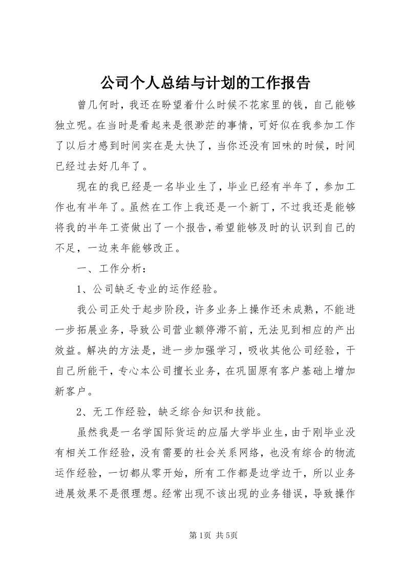 公司个人总结与计划的工作报告