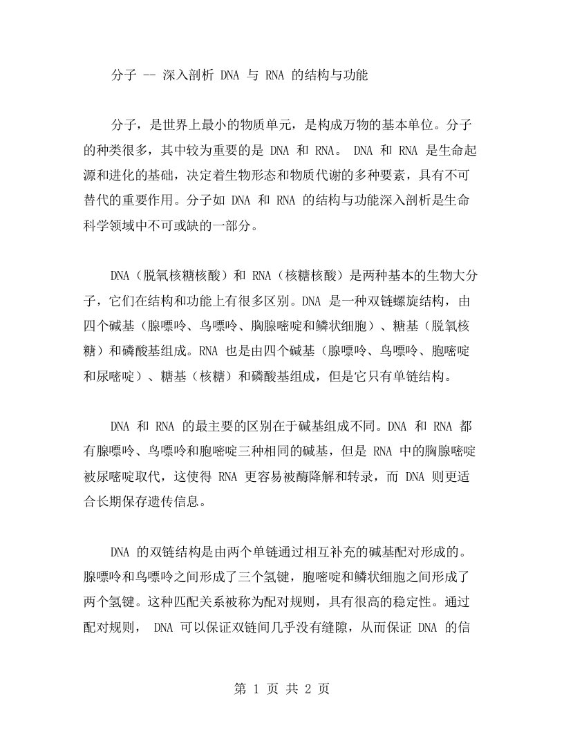 分子深入剖析DNA与RNA的结构与功能