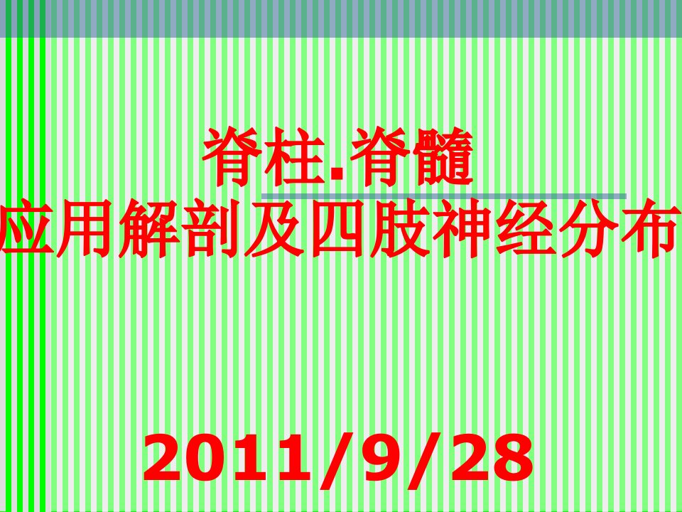 脊柱解剖与神经分布