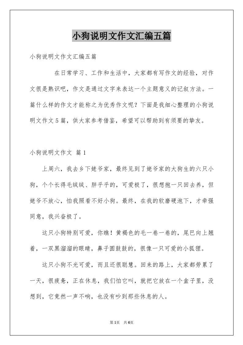 小狗说明文作文汇编五篇