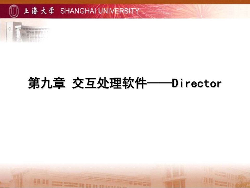 交互处理软件Director