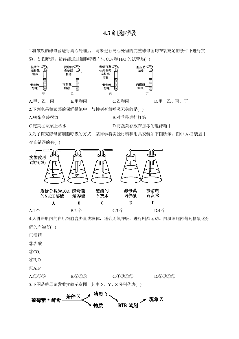 4-3细胞呼吸——2022-2023学年高一生物学北师大版（2019）必修一同步课时训练