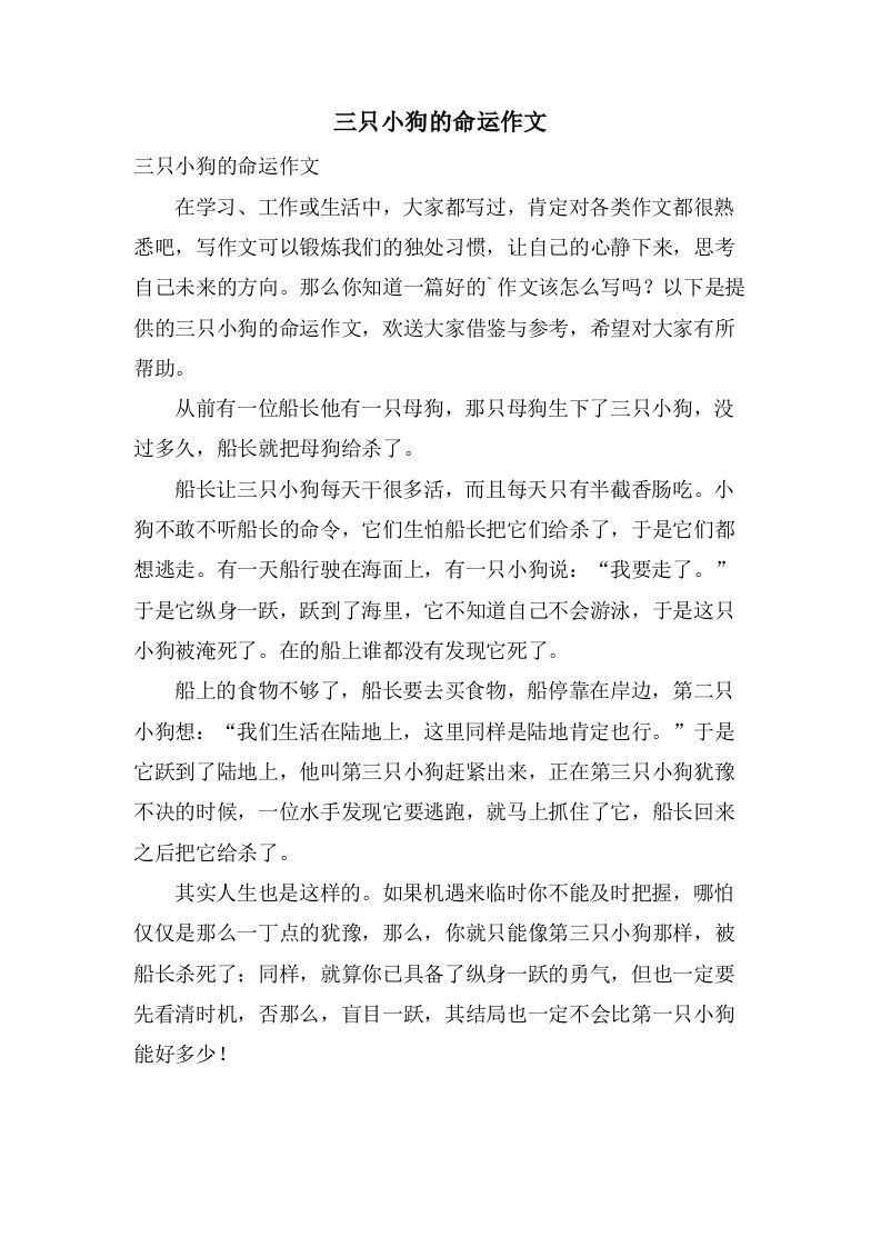 三只小狗的命运作文