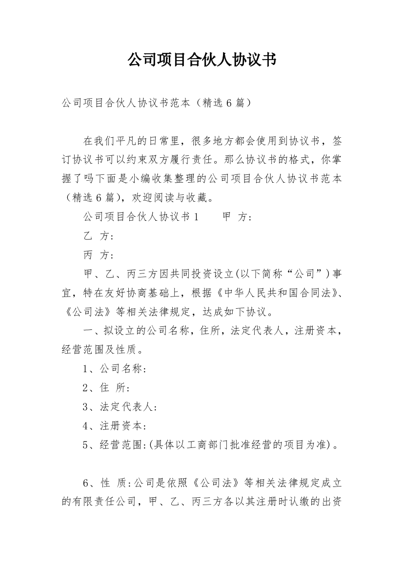 公司项目合伙人协议书