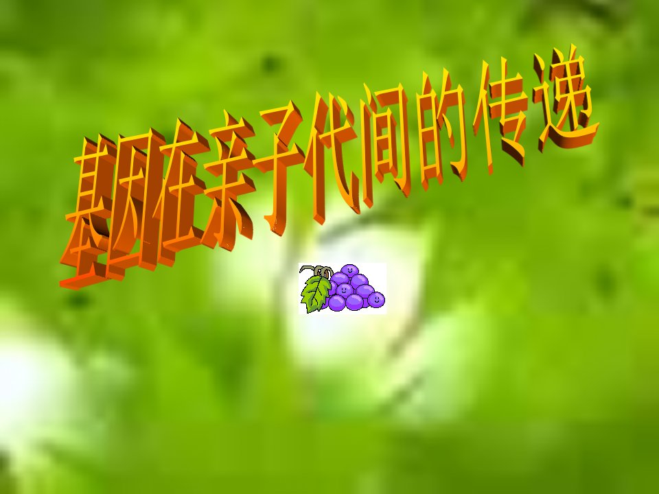 基因在亲子间的传递