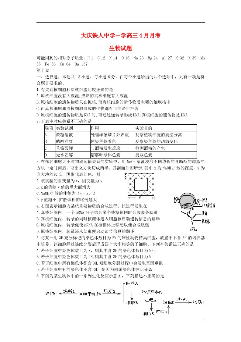 黑龙江省大庆铁人中学高三生物4月月考试题（无答案）新人教版