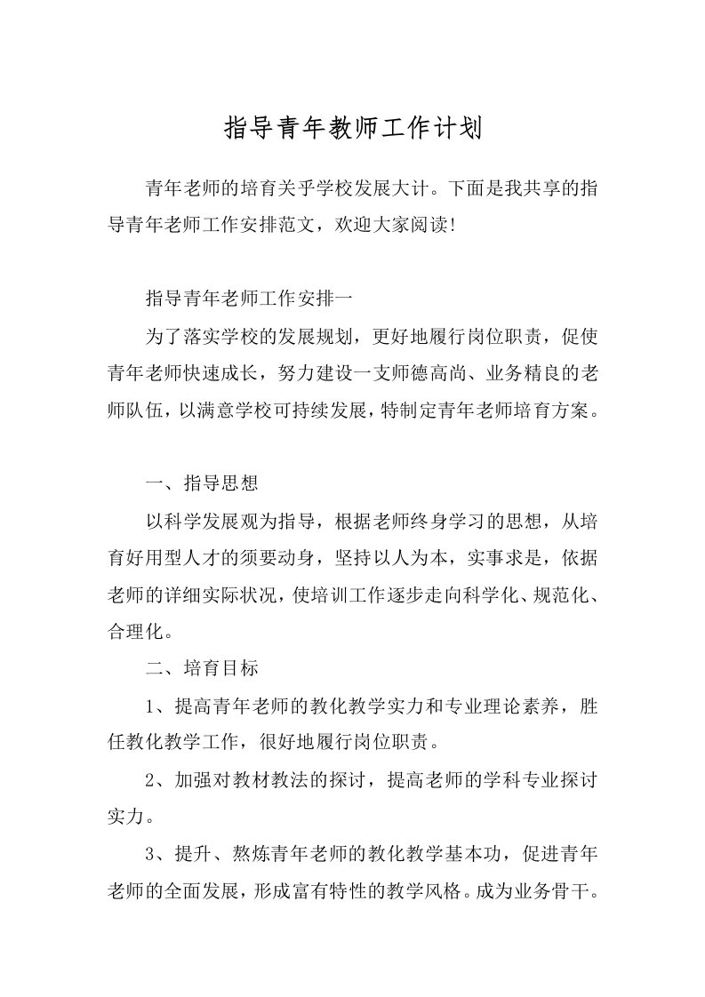 指导青年教师工作计划