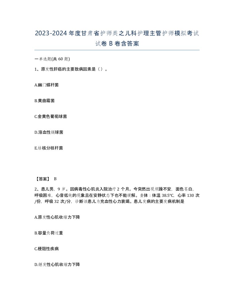 2023-2024年度甘肃省护师类之儿科护理主管护师模拟考试试卷B卷含答案