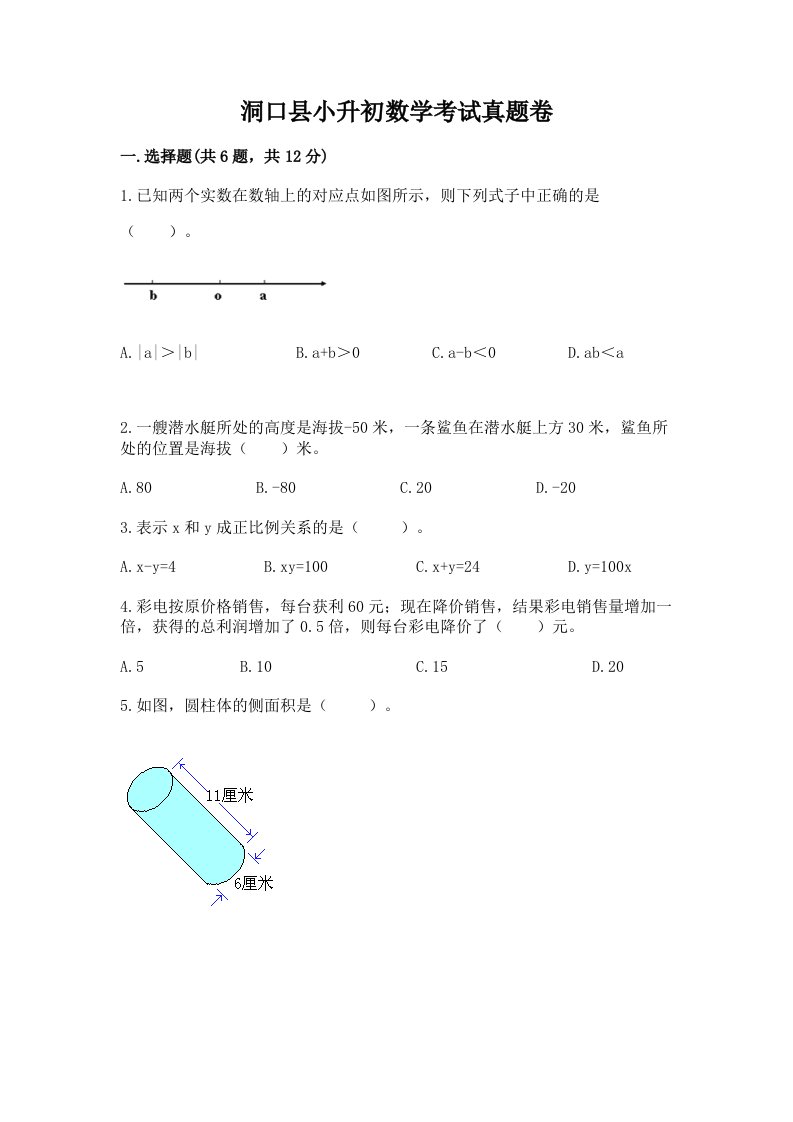 洞口县小升初数学考试真题卷汇编