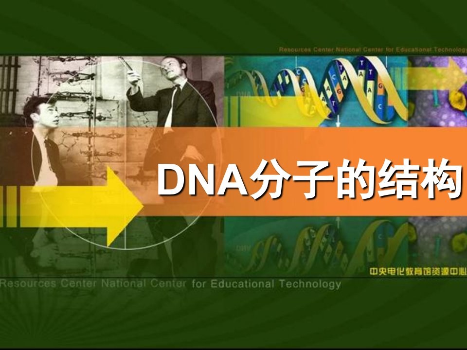 人教版教学课件232DNA分子的结构1