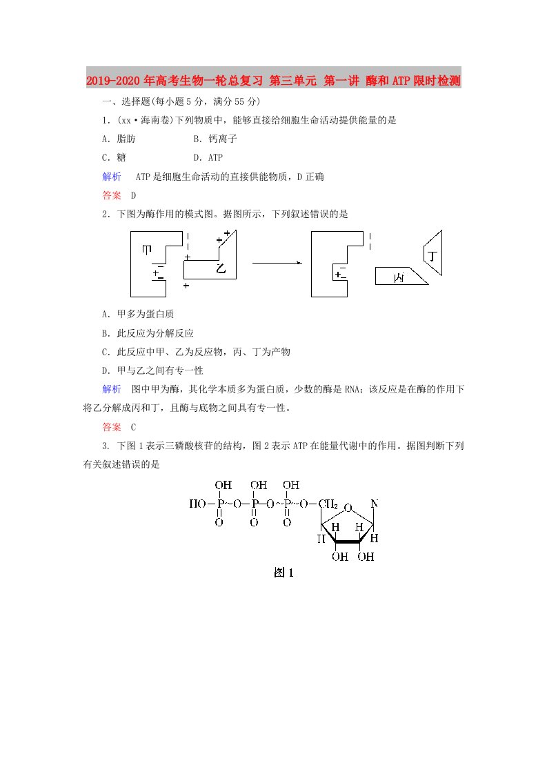 2019-2020年高考生物一轮总复习