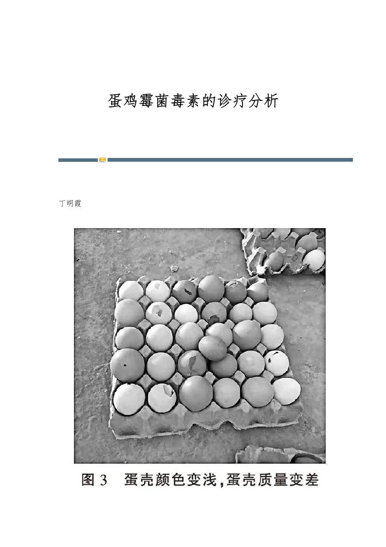 蛋鸡霉菌毒素的诊疗分析