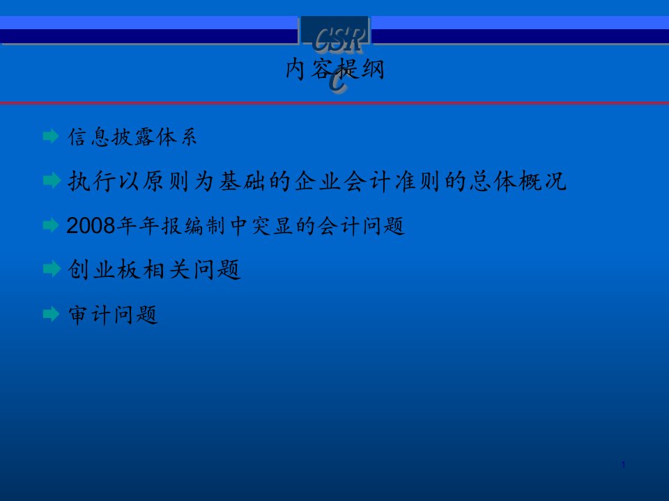 上市公司会计与审计问题20页PPT