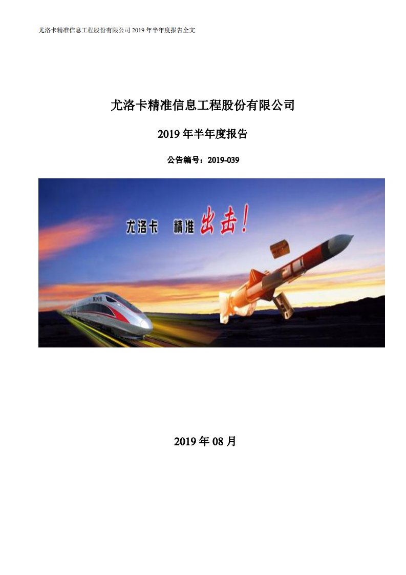 深交所-精准信息：2019年半年度报告-20190829