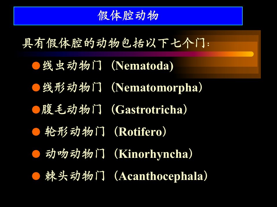 冀教版七年级生物上册线形动物和环节动物课件4