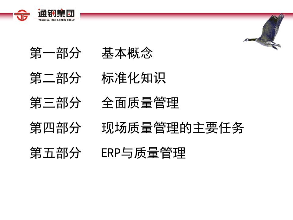 精选某集团标准化及全面质量管理